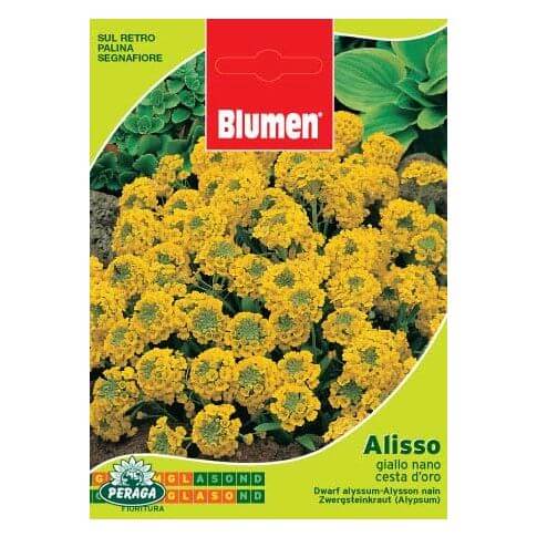 Sachet With Dwarf Yellow Alisso Seeds Cesta D\'Oro