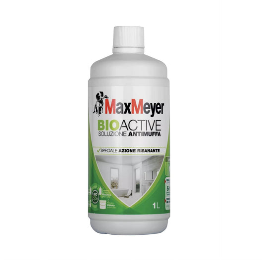 Specific anti-mould solution for renovation treatment - 1 liter format