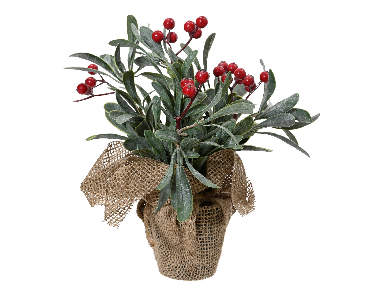 Green and red Christmas plant 18x23 cm